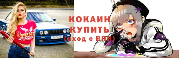 ешки Аркадак