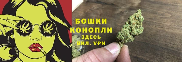 ешки Аркадак