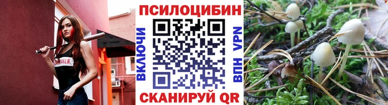 shop телеграм  Окуловка  Галлюциногенные грибы Magic Shrooms 